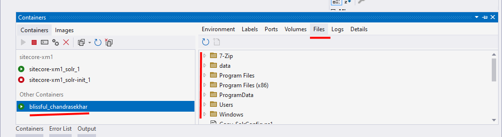 Visual Studio's Containers window showing the filesystem for a running container