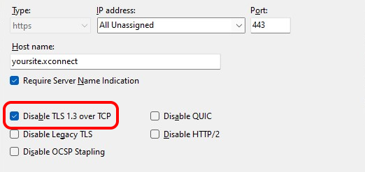 Site bindings dialog in Windows 11 - with TLS3 options
