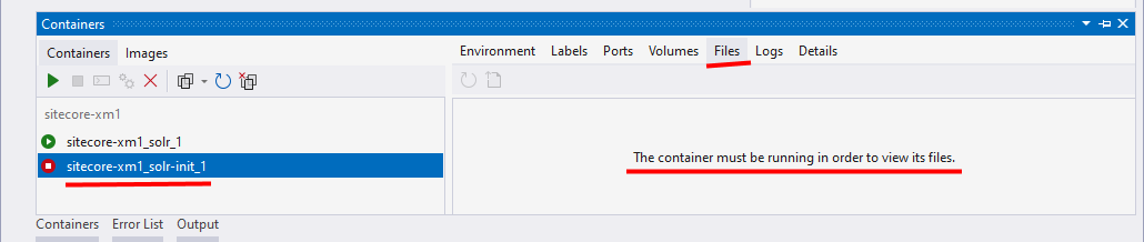The Visual Studio Containers window showing that a stopped container cannot be browsed